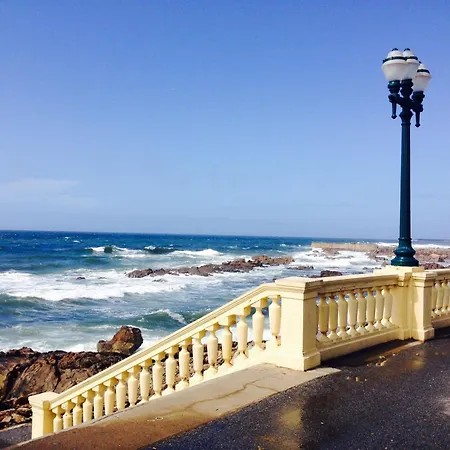 Garden Foz Cool Living 波尔图